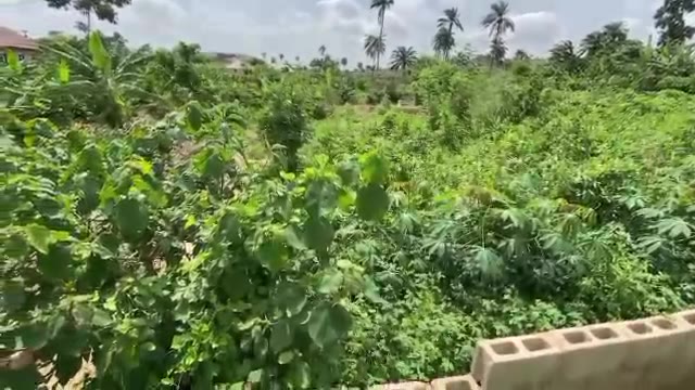 Plot of Land Behind CBN, Ado-Ekiti